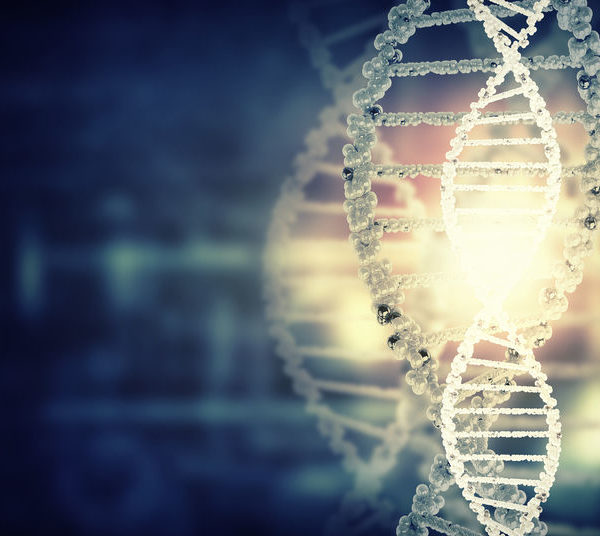 Catalyseur de transformation® | Notre actualité - L'ADN de Digital Morpho®